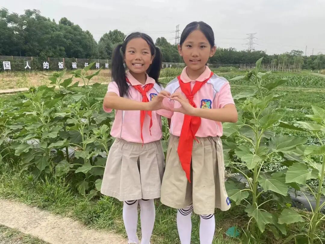 AD105怎么读我的成长树（538）｜拾趣朗读(105)_https://www.jmylbn.com_新闻资讯_第18张