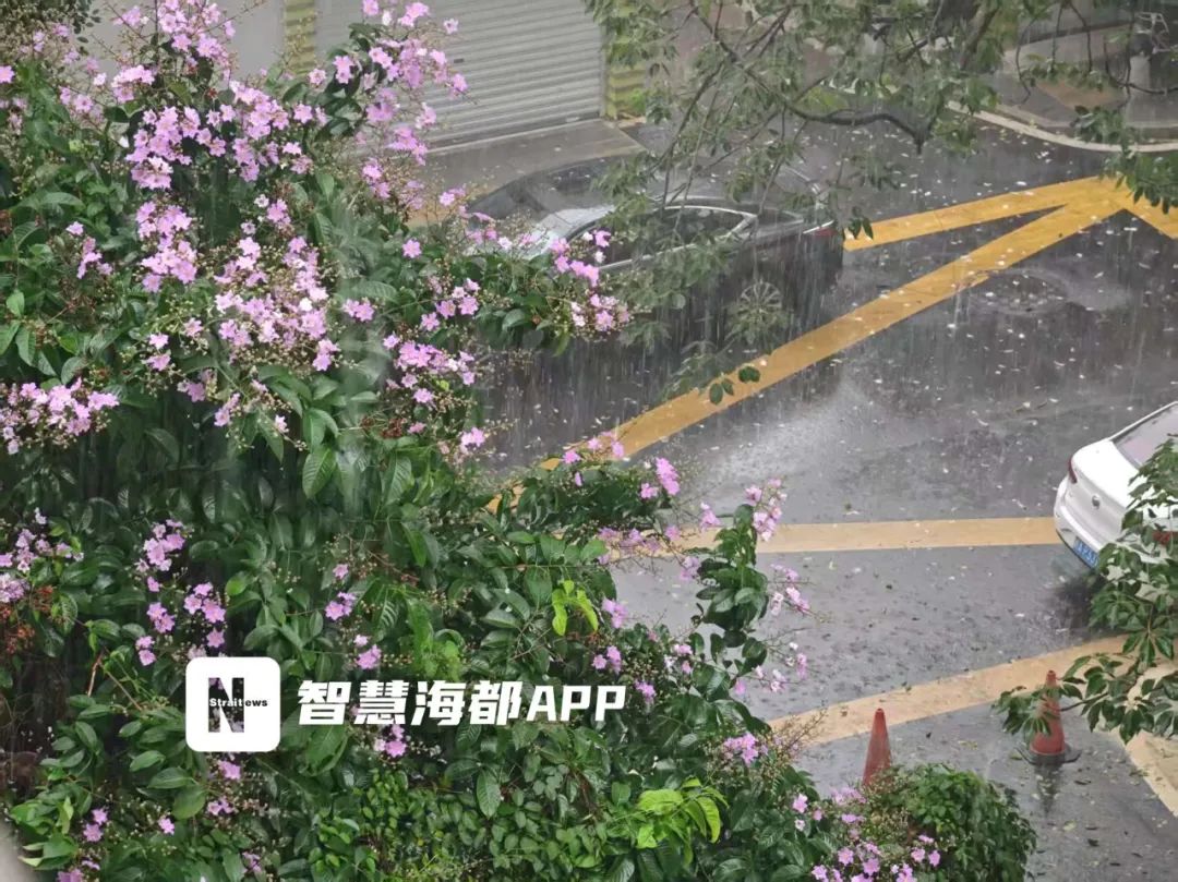 2025年06月08日福州天气,今年第1号台风或将生成！高温 暴雨已抵达福建！