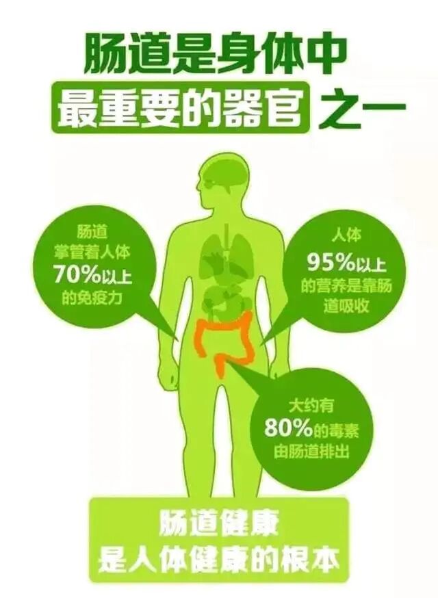结肠水疗仪怎么用脾胃病科：结肠水疗  让健康“肠”伴您左右_https://www.jmylbn.com_新闻资讯_第2张