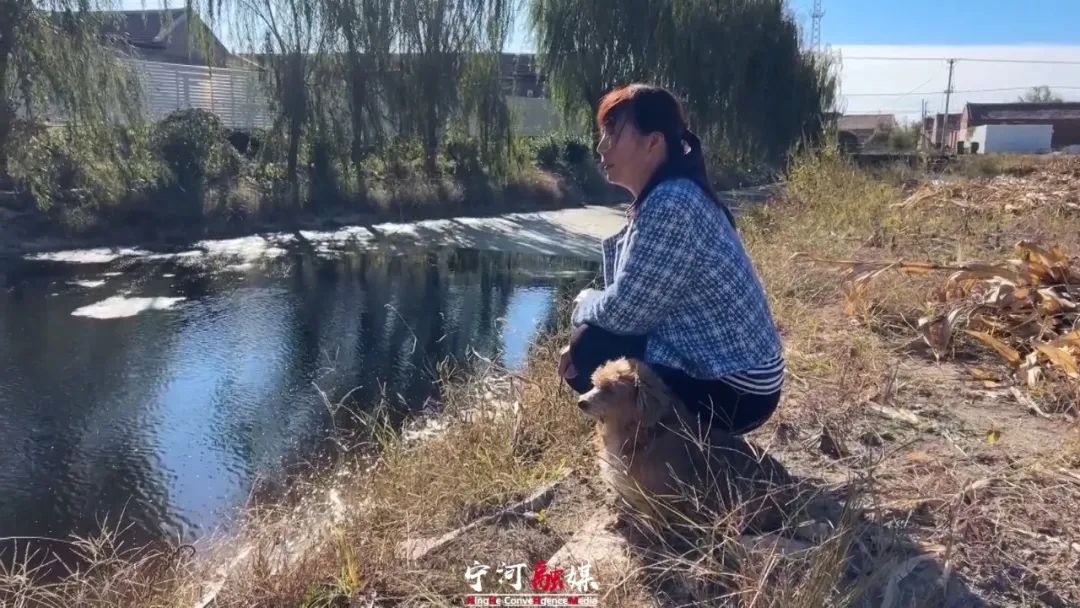 为“河”守护丨东棘坨镇：坑塘治理显成效 人居环境焕新颜