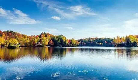 我最近治疗流感和新冠发烧患者最常搭配的中成药---藿香正气口服液