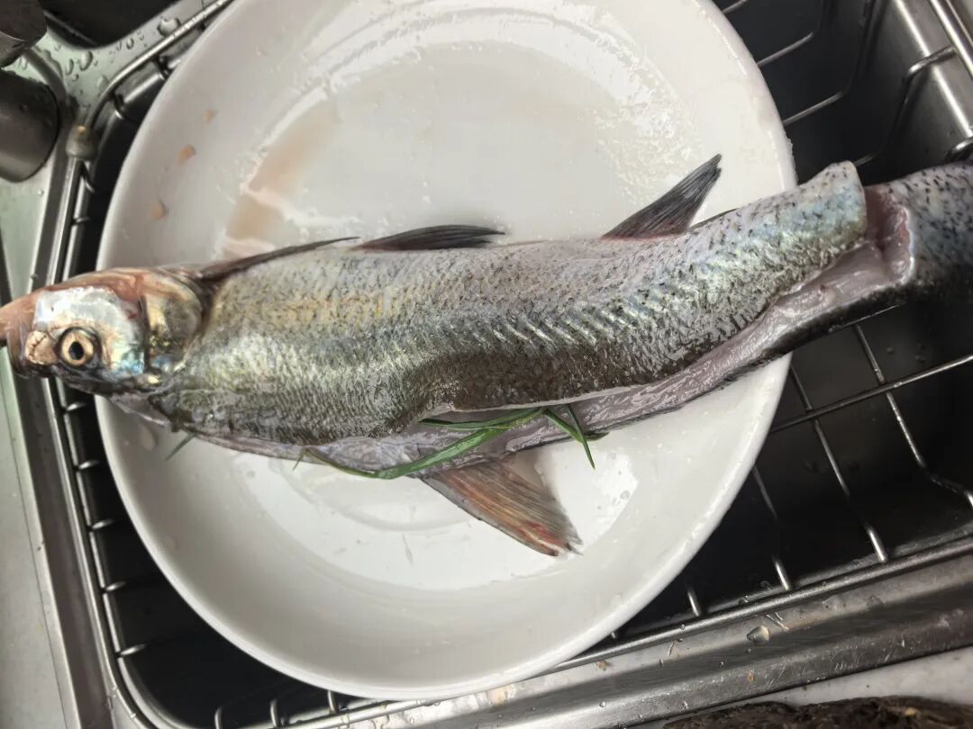 白条鱼怎么做