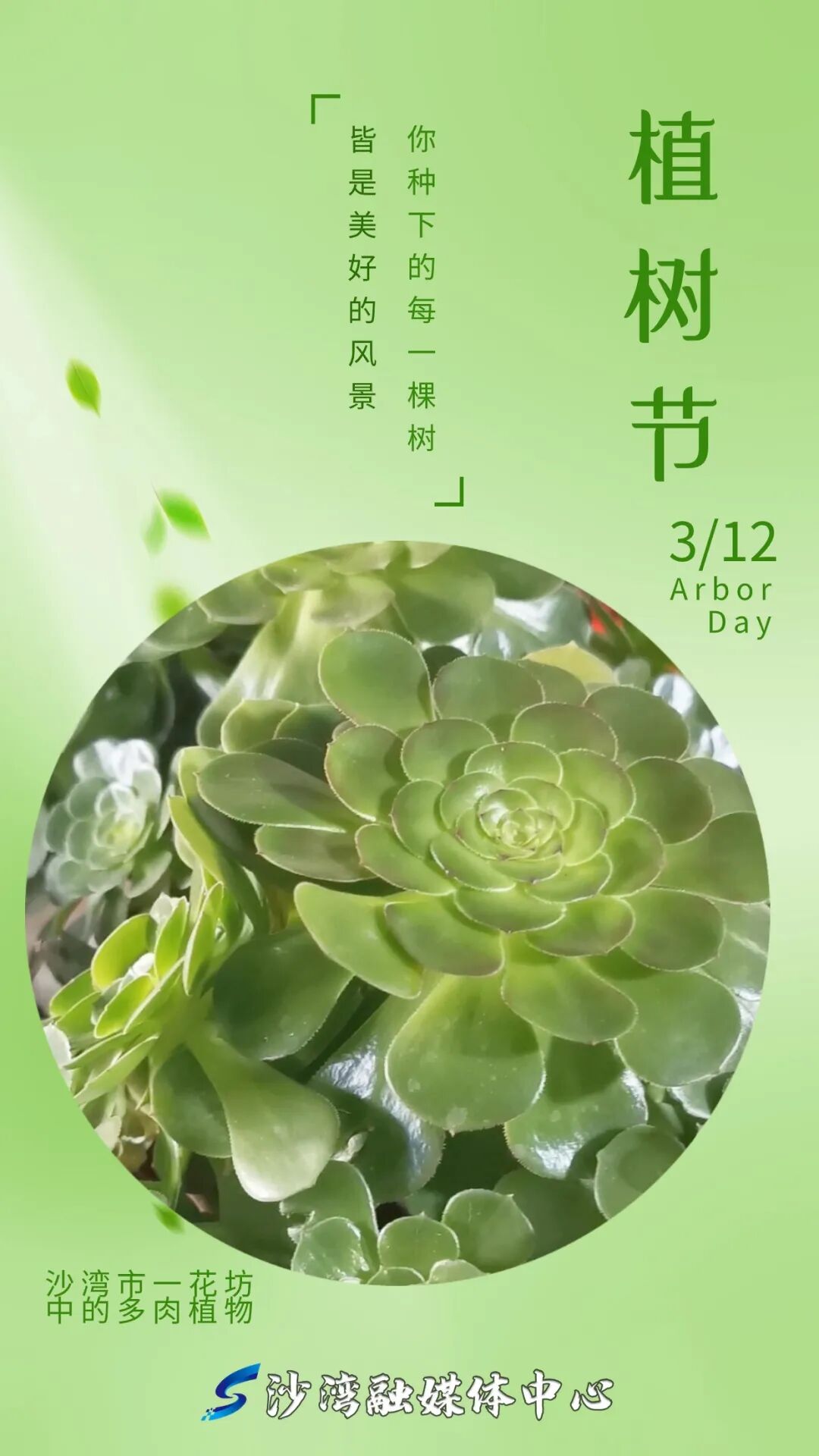 沙湾专属的绿色屏保来啦