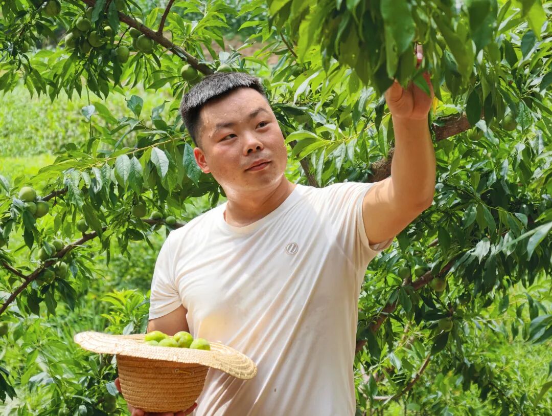 微信图片_20260709160547_800_56.jpg
