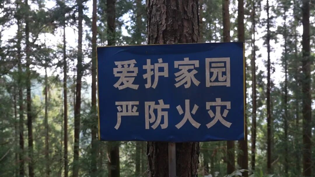 1787650297521064605.jpg