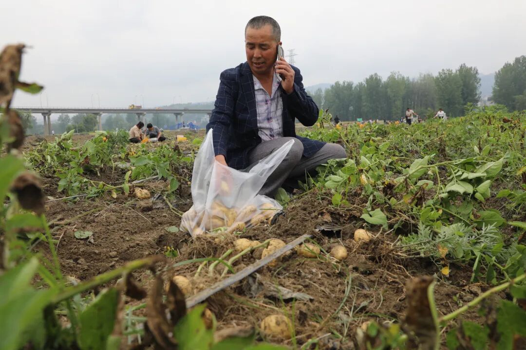 微信图片_20260518124300_546_217.jpg