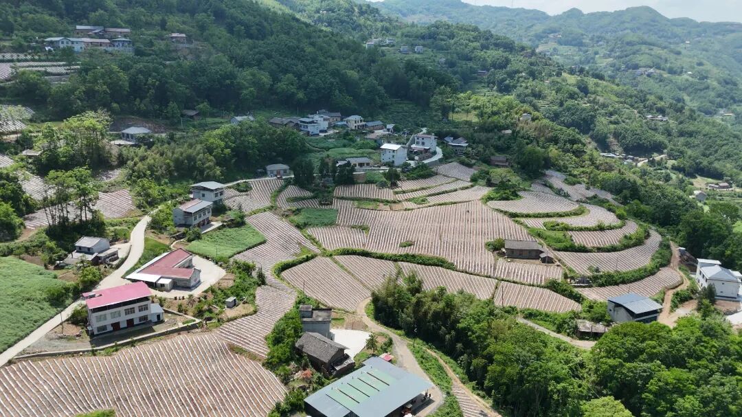 中原.jpg