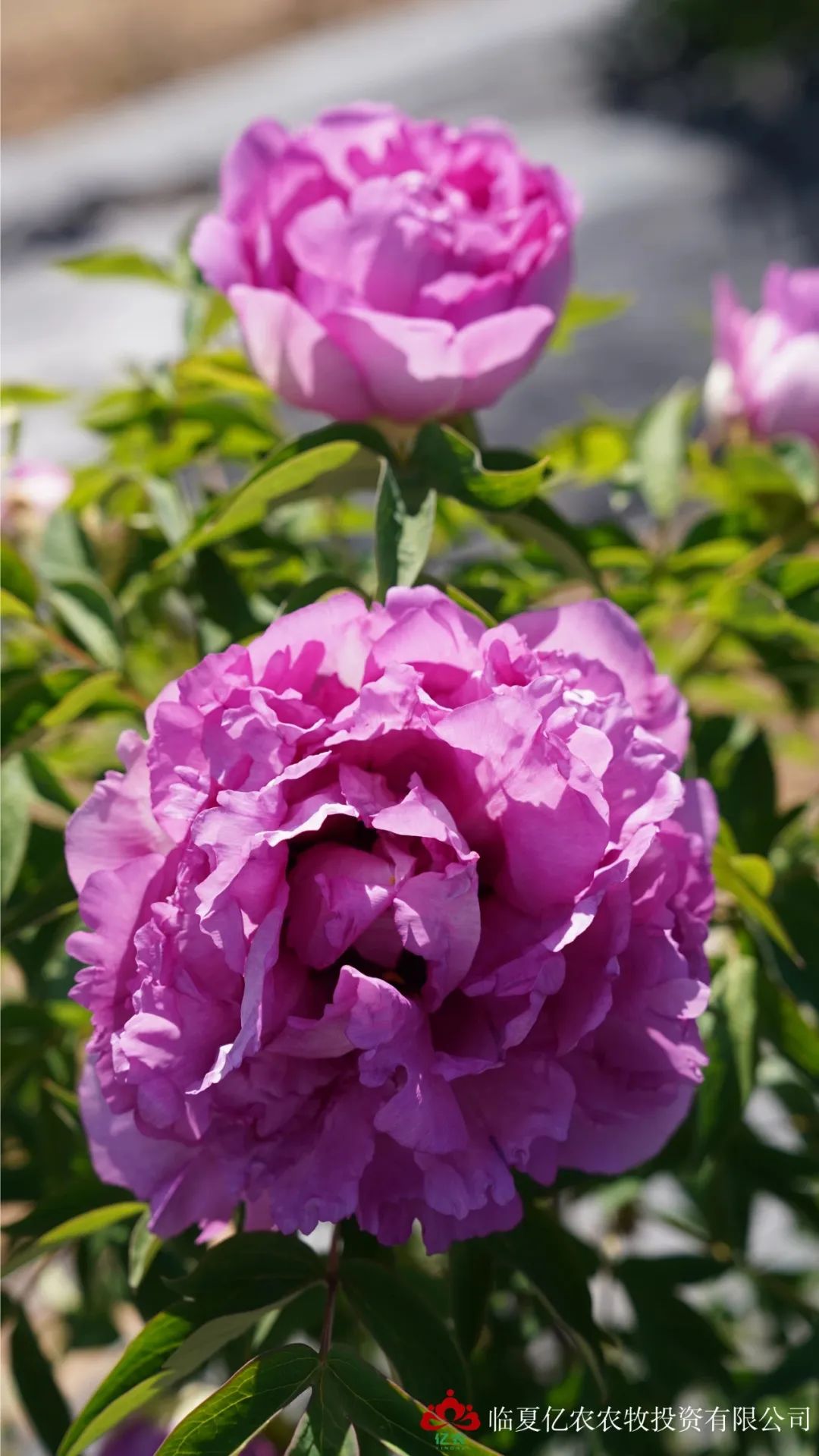 7a6611e0c0c6d4e26ef7bb90d511aa3.jpg