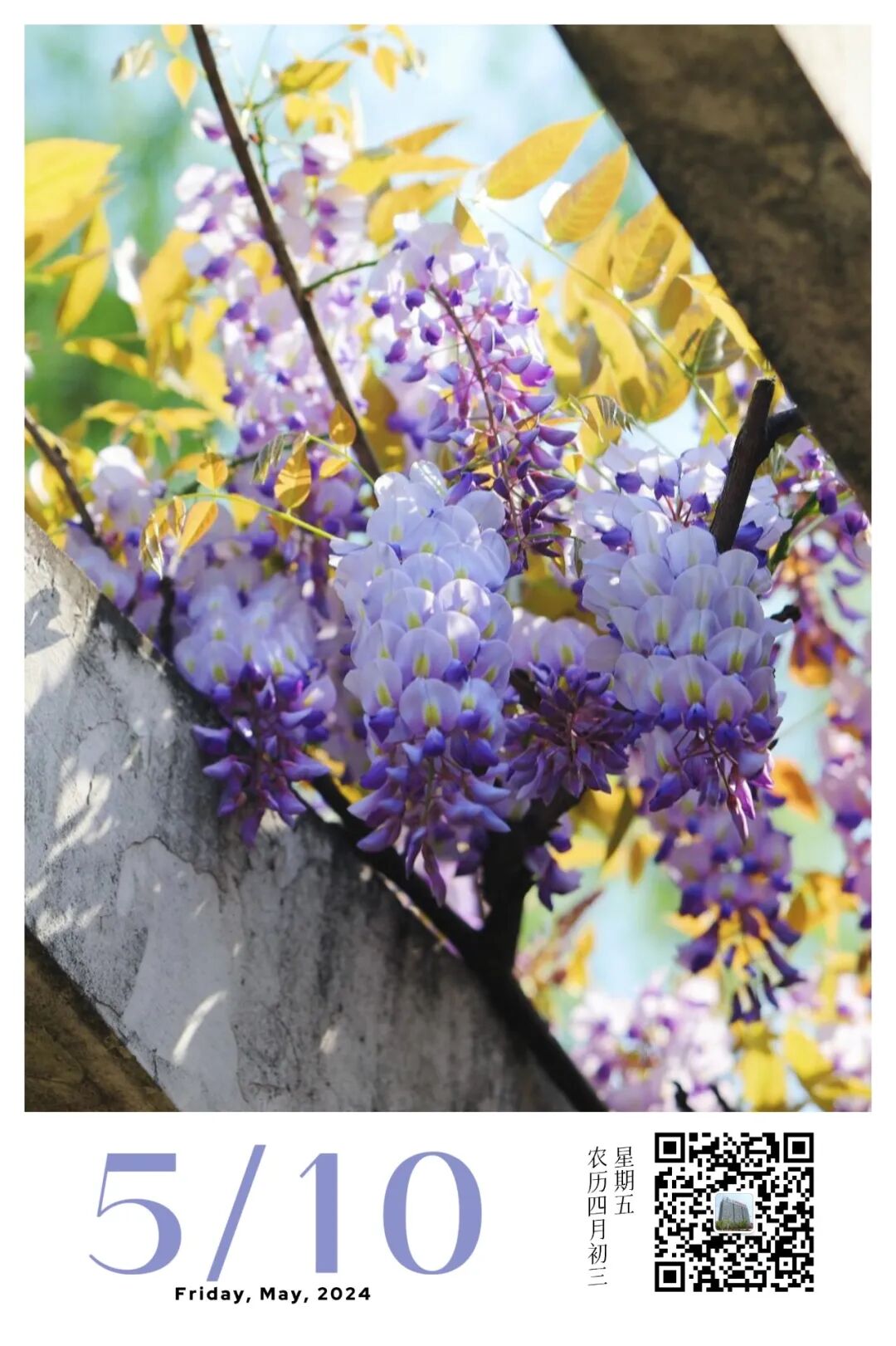 医疗设备怎么招商5家企业签约！嘉定工业区高端医疗装备产业链精准招商按下快进键_https://www.jmylbn.com_新闻资讯_第10张