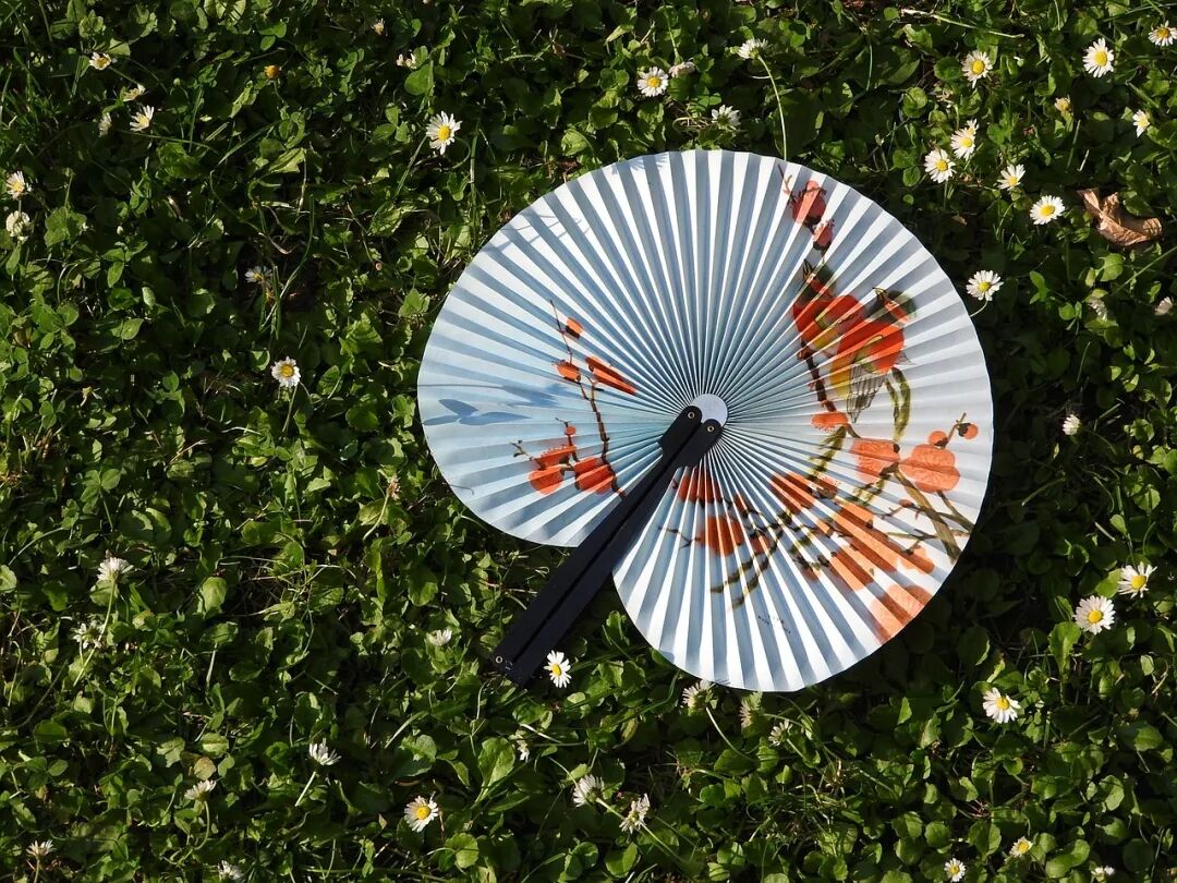 扇子, 草, 配件, 亚洲