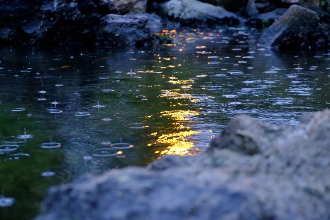 雨, 水Colure, 池塘, 灯