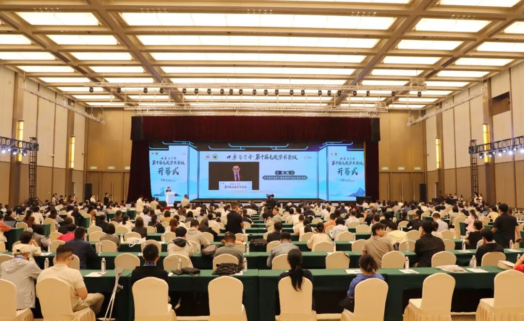 微信图片_20260905171049_9_10.jpg
