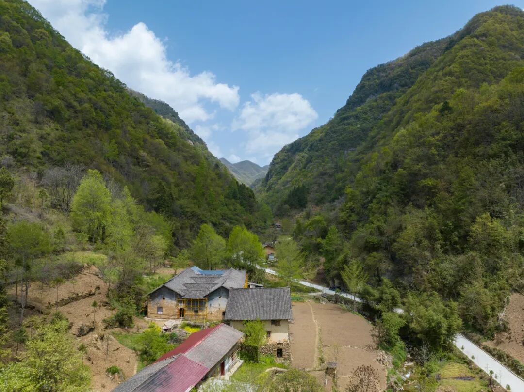 鸟瞰修复中的紫荆古村落（组照） 4   2023年4月拍摄于紫荆镇紫荆村--邵向东.jpg
