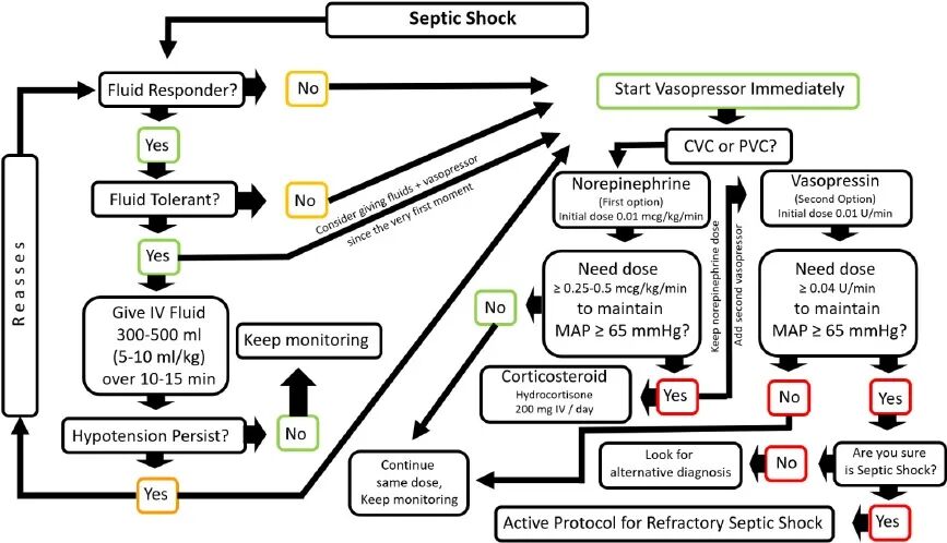 加压输液什么意思感染性休克的管理中，液体和早期血管加压药物：我们已经找到正确答案了吗？_https://www.jmylbn.com_新闻资讯_第2张