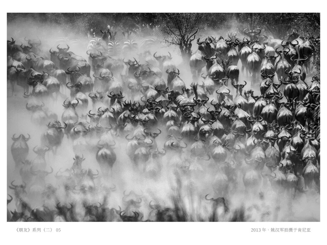 《人民摄影》报、《中国摄影》、《大众摄影》杂志。金像奖获奖作品赏析