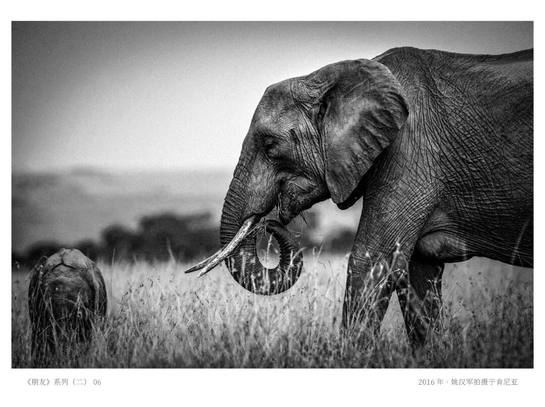 《人民摄影》报、《中国摄影》、《大众摄影》杂志。金像奖获奖作品赏析