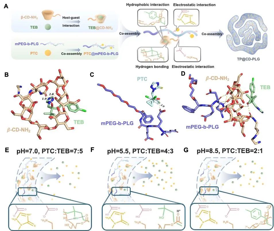 1749024572356034491.jpg 1749024572356034491.jpg
