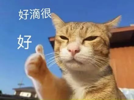 某中学女生安检砸伤工作人员，毁掉一个孩子从情绪崩溃开始