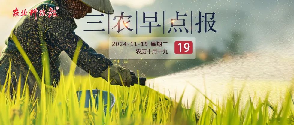 乡村消费释放新活力、老虎进村咬伤村民.....三农早点报来了! 乡村消费释放新活力、老虎进村咬伤村民.....三农早点报来了!
