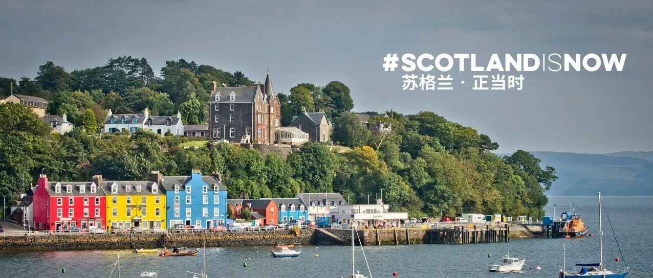 最头条｜相约进博会，走进苏格兰多维优雅时空！