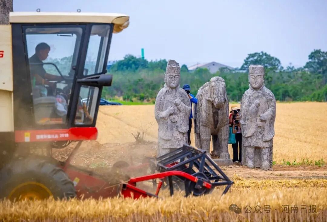 何言：老家河南，“開”新圖強(qiáng)