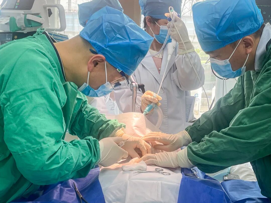 纤支镜什么品牌好一科一技一品牌 ｜ 重症医学科：纤支镜直视下经皮牛角扩张气管切开术_https://www.jmylbn.com_新闻资讯_第12张