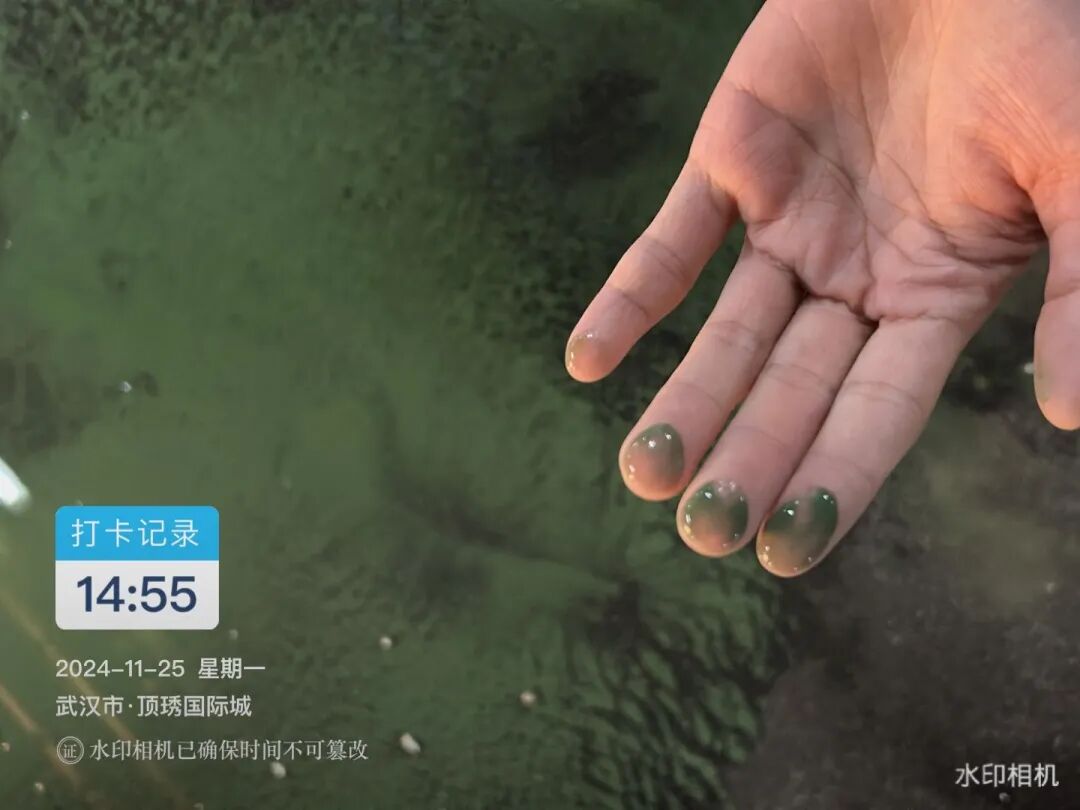 武汉一小区部分居民家中水龙头流出绿水！物业、街道办回应