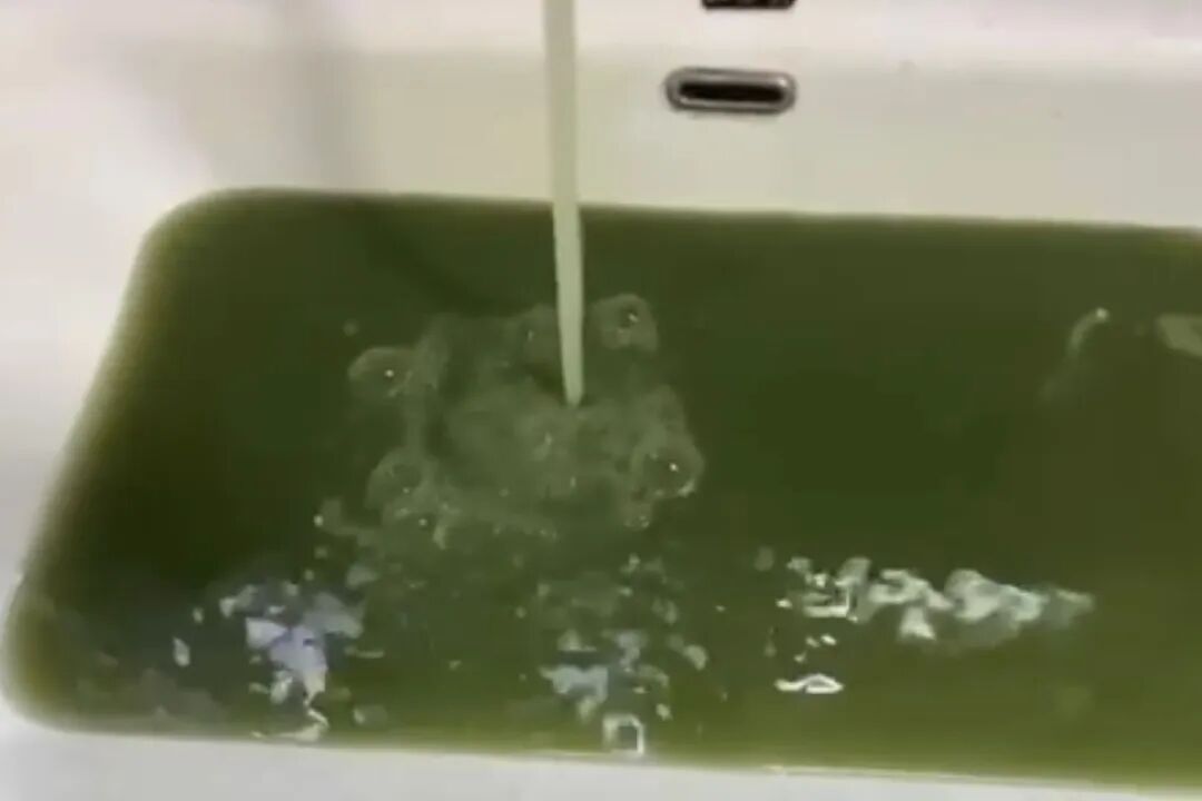 武汉一小区部分居民家中水龙头流出绿水！物业、街道办回应