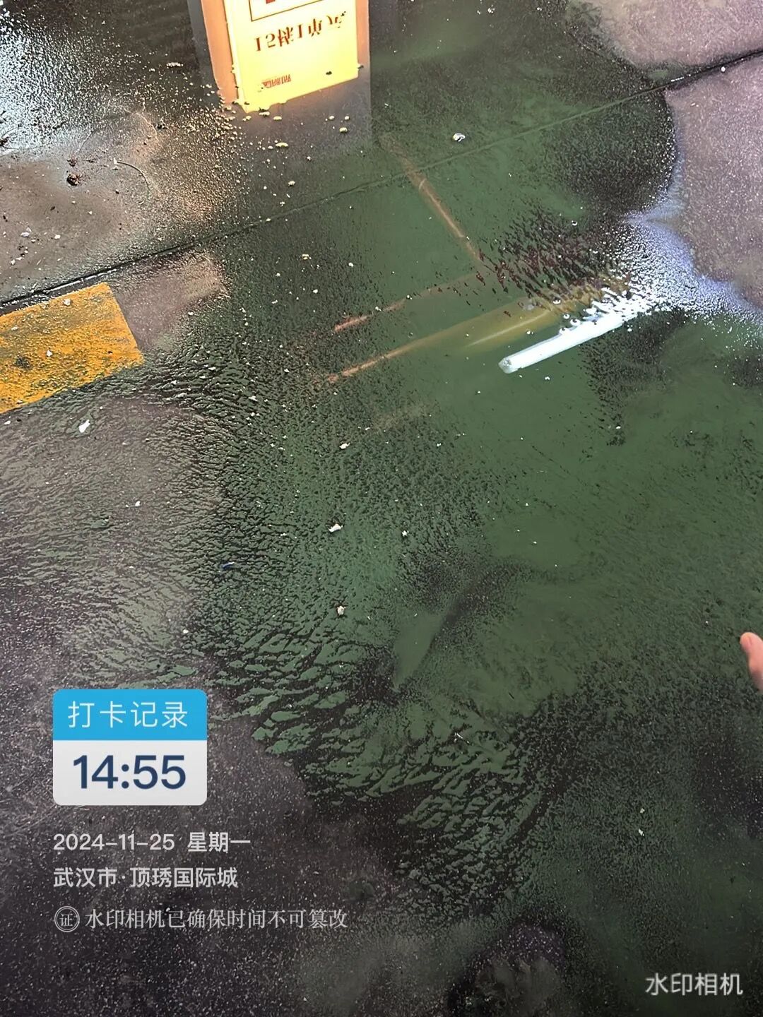 武汉一小区部分居民家中水龙头流出绿水！物业、街道办回应