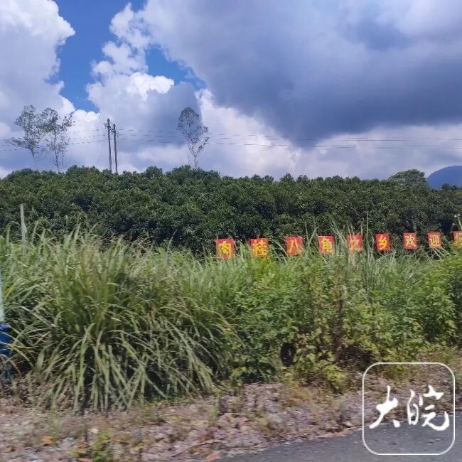 广西致5死1伤命案嫌犯逃进大山！进村盘山路民警每50米值守，村民“不敢上山”……