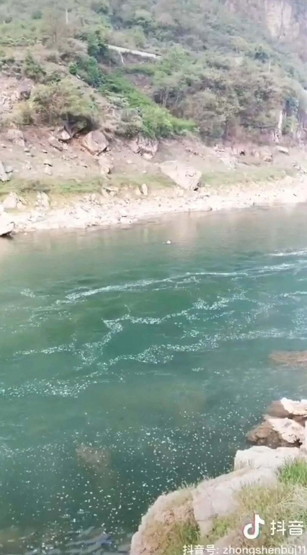 水电站突然放水两名老师溺亡 官方回应：警方介入调查