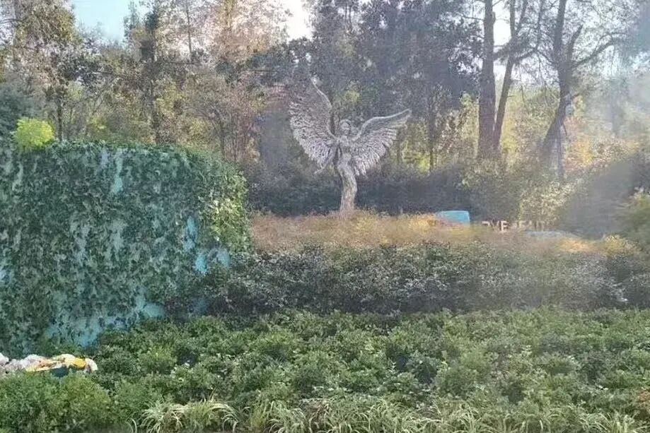 李玟墓地“没有网上说的杂草丛生”！记者实探武汉石门峰，现场工作人员称：相关改造已结束