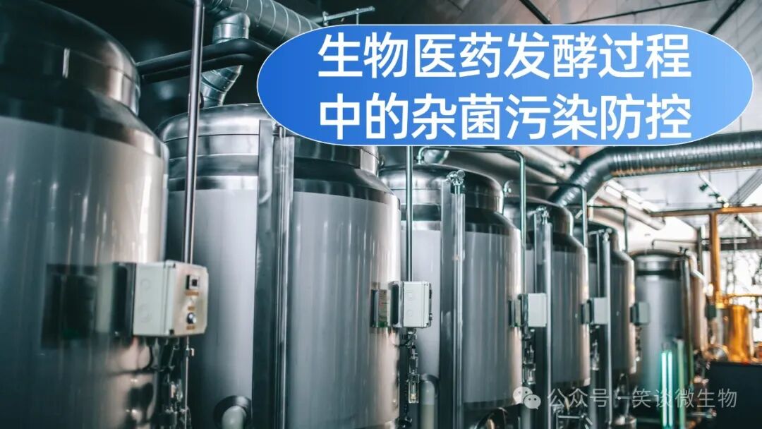 雜菌污染應(yīng)該如何有效解決？