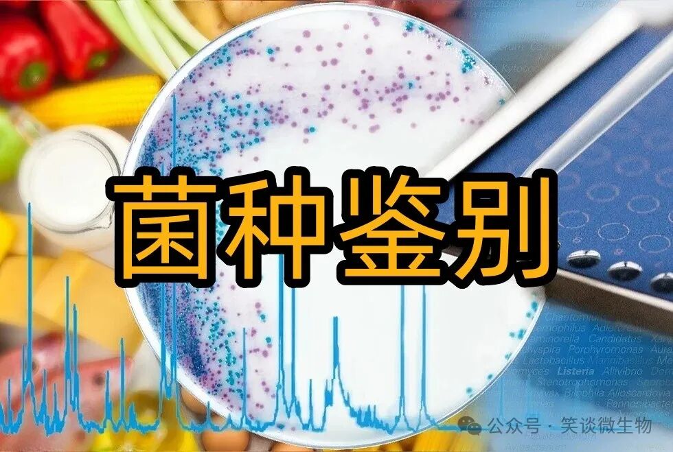 菌种鉴定：微生物学的关键步骤