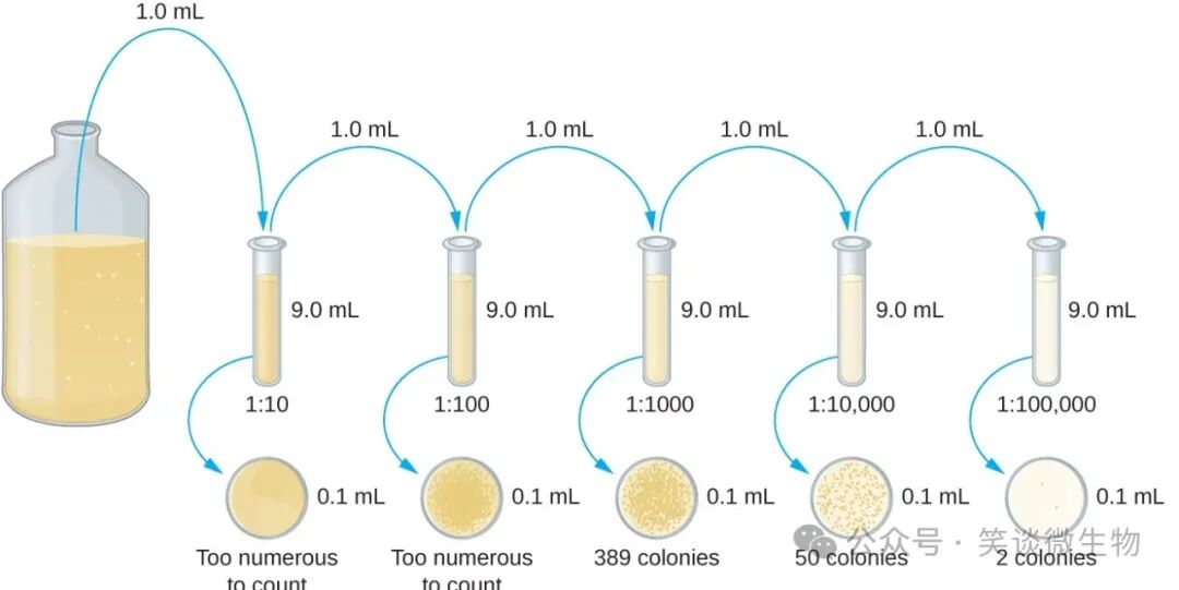 精准菌种分离与纯化的技术探索与应用