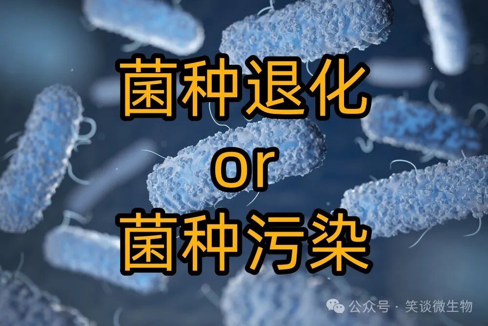 區分菌種退化與菌種污染的關鍵要點