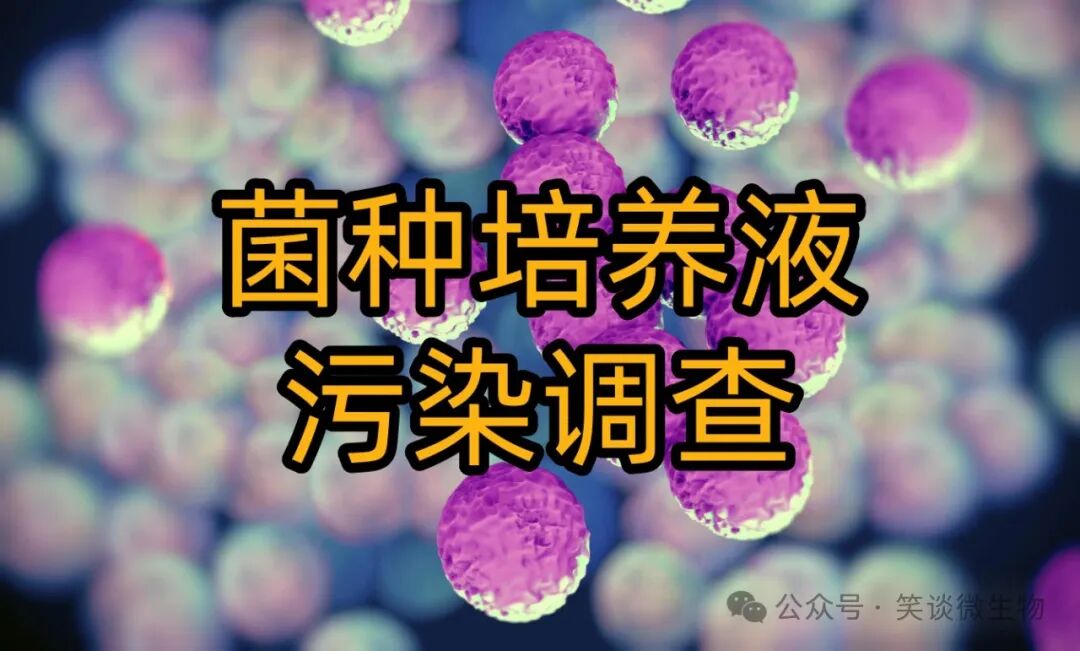 如何調查菌種培養(yǎng)液的污染問題？