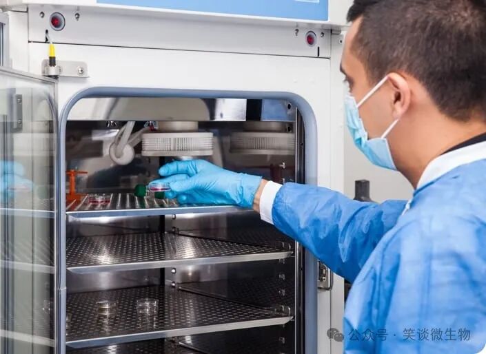 菌种复壮方法概览