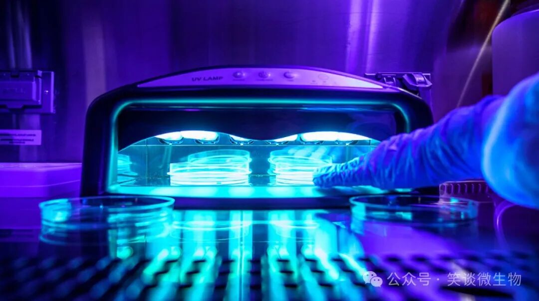 菌种复壮方法概览