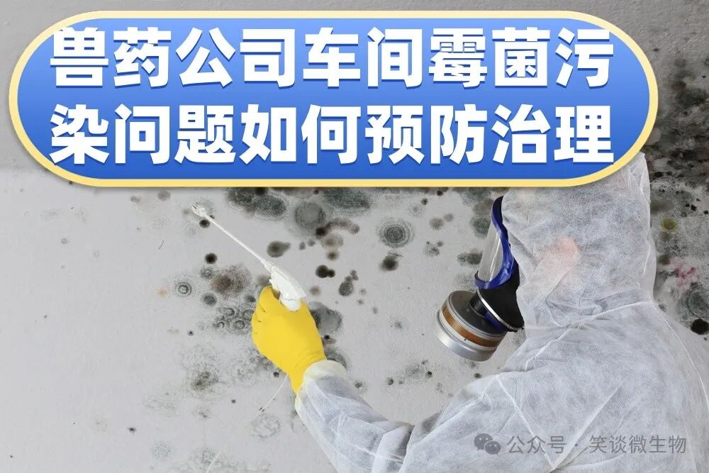 霉菌污染問題應(yīng)采取什么方法防控？