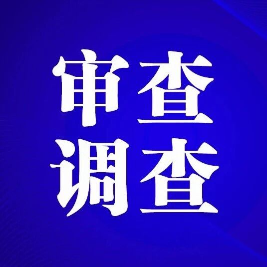 张敏接受纪律审查和监察调查