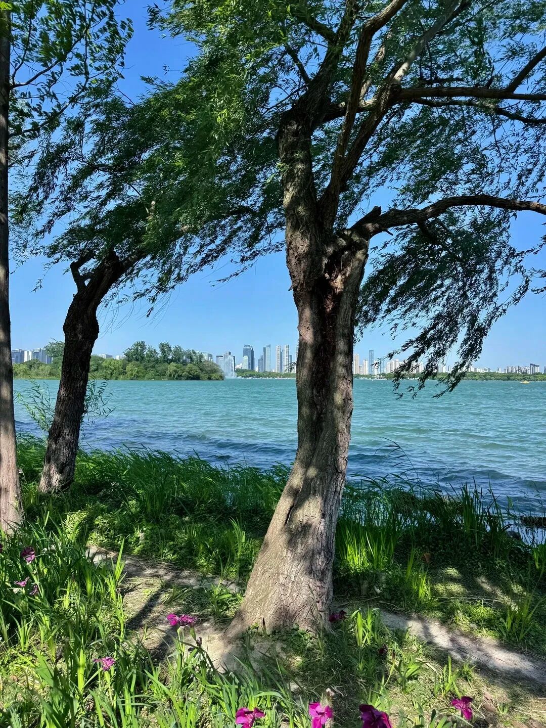 今天的蠡湖“渐变海”_5_木亘东_来自小红书网页版.jpg