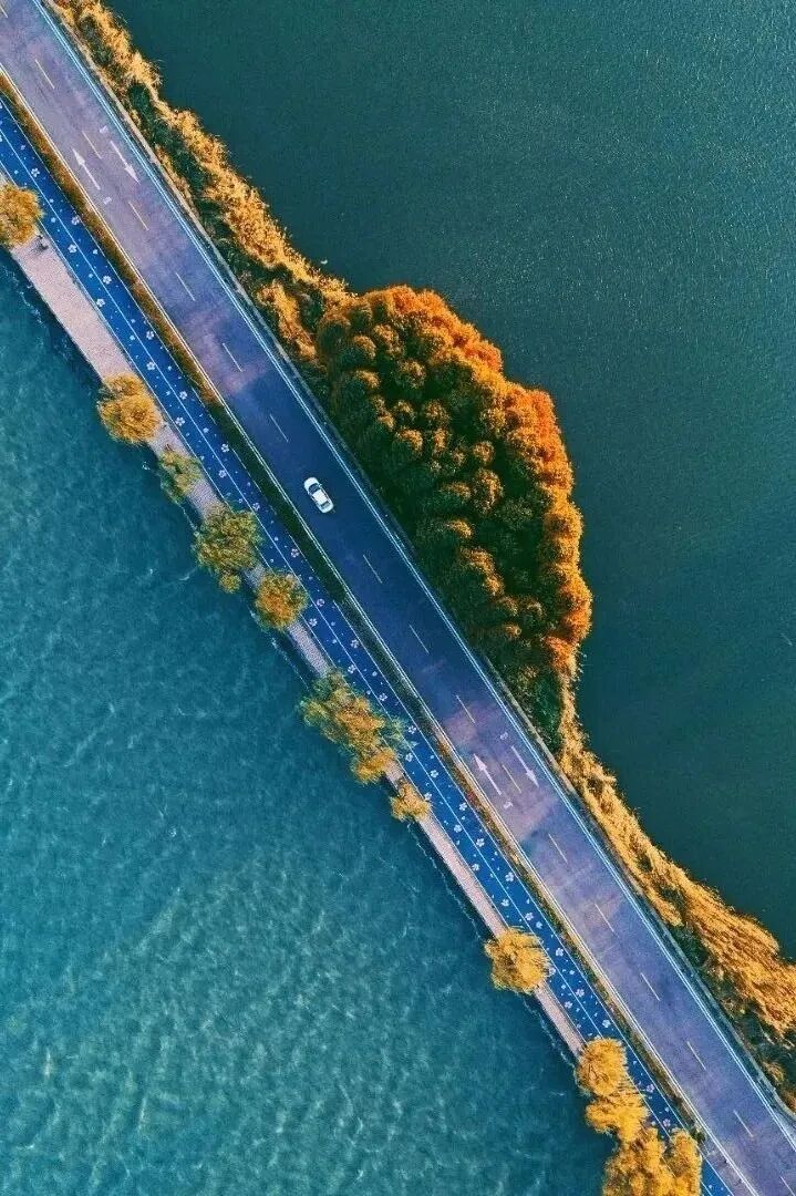 滨湖21-来源滨湖发布.jpg