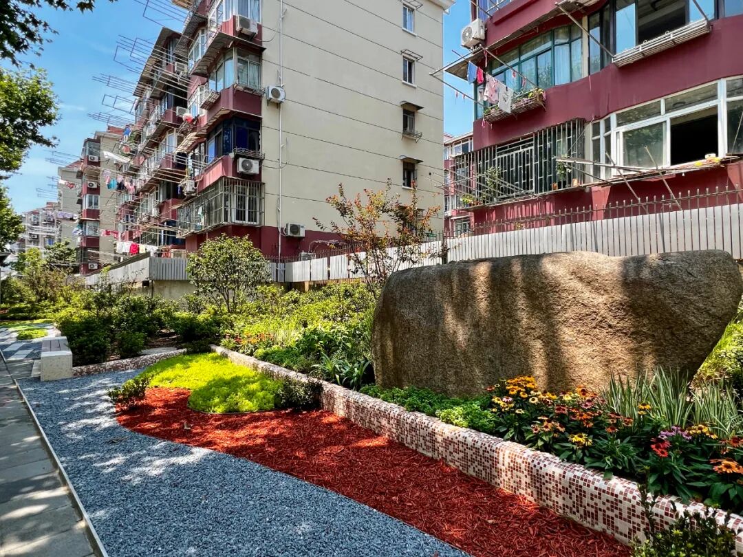 【逐"绿"前行】@普陀人,家门口的街心花园, 3!