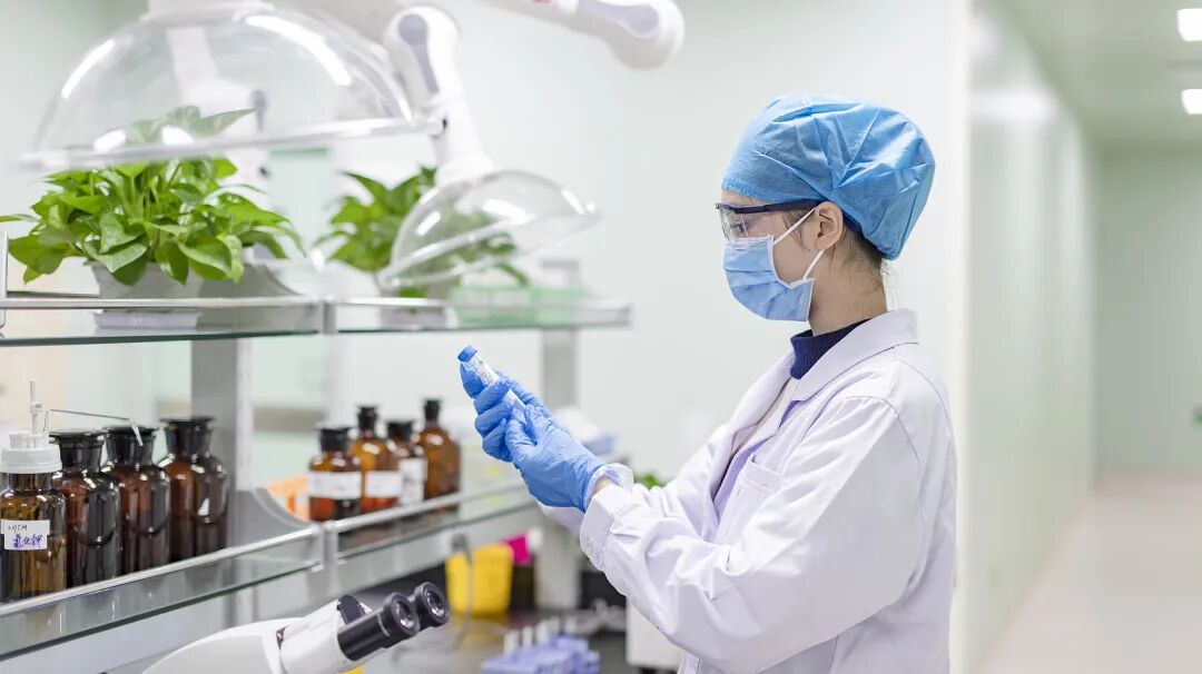 ivd外企怎么样又一重磅品种集采，5折拟中选，国产替代趋势明显_https://www.jmylbn.com_新闻资讯_第3张