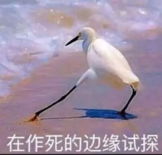 鸟站在水里  描述已自动生成