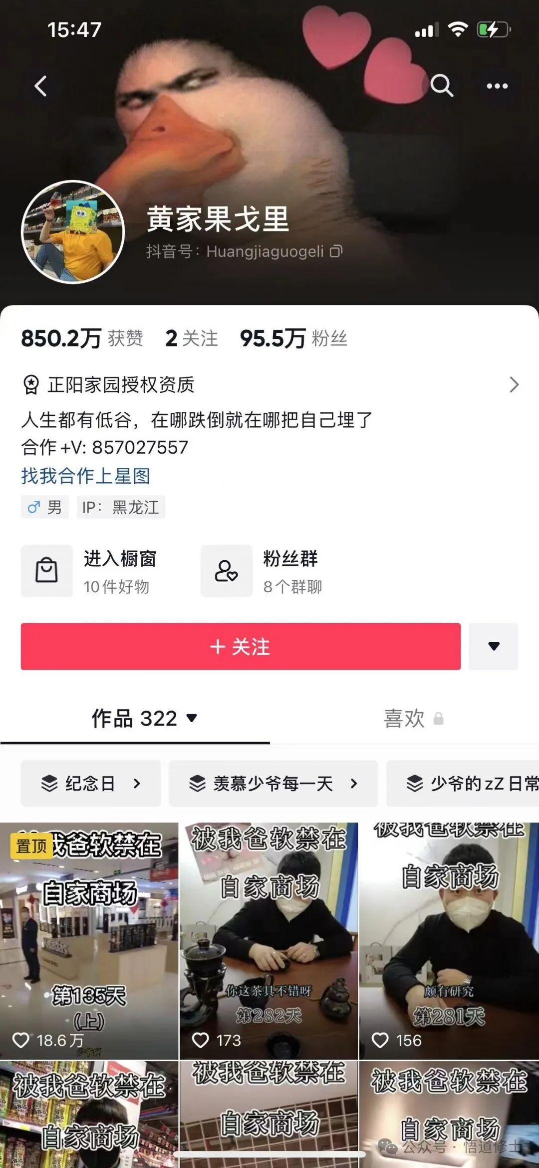 【145】故事情节帐号—杨家普希金