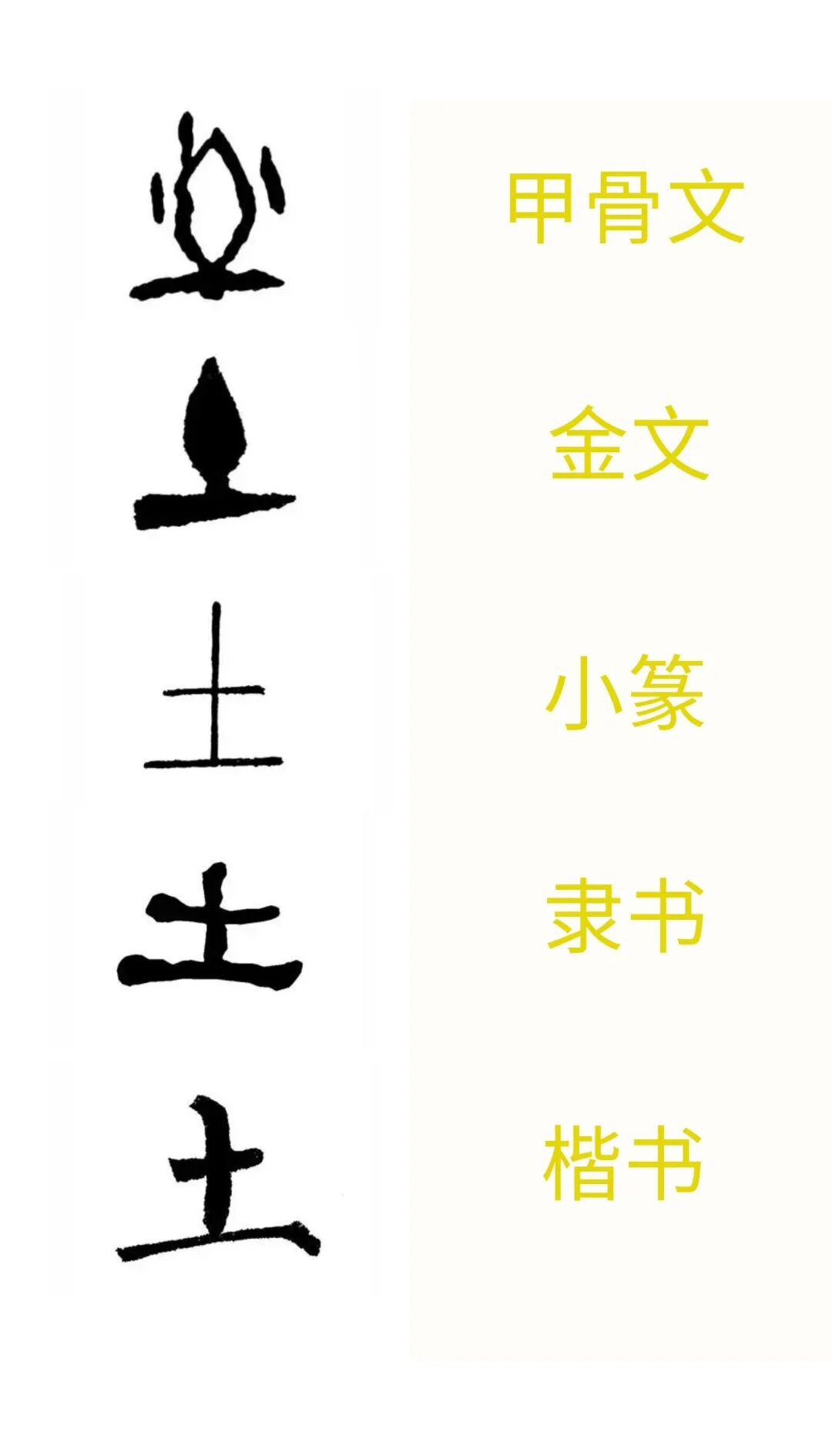 公益课堂字在字知道识字小学堂第二期土生万物触类旁通来识字