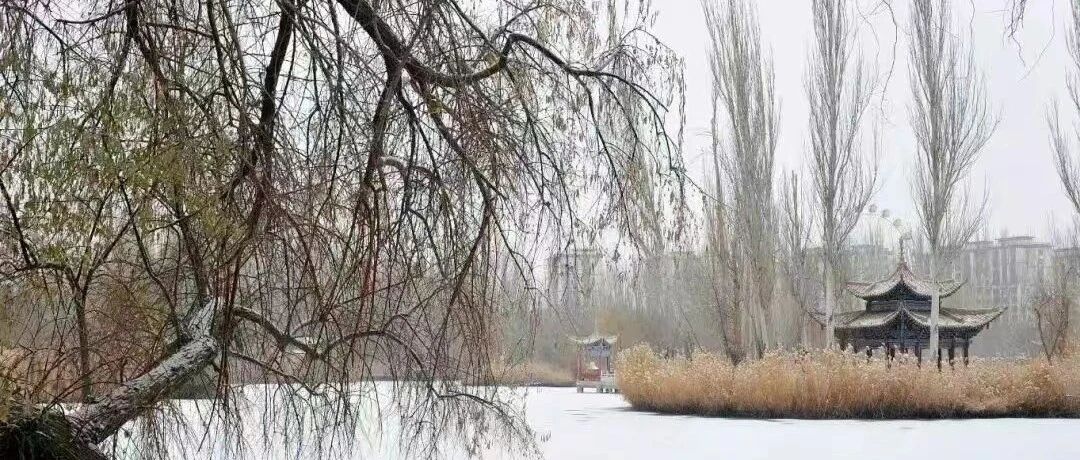 【湿地随笔】龚燕  | 小雪：一段关于电影的记忆